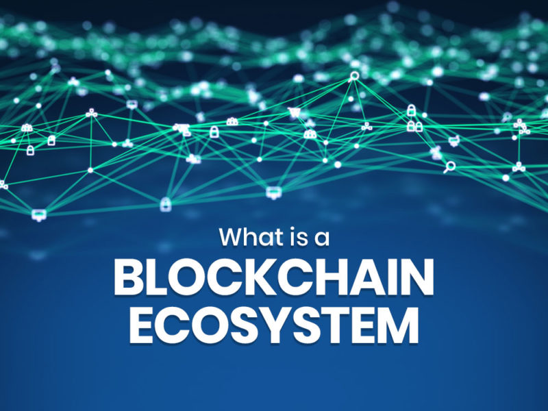 What Is A Blockchain Ecosystem? - Minerium