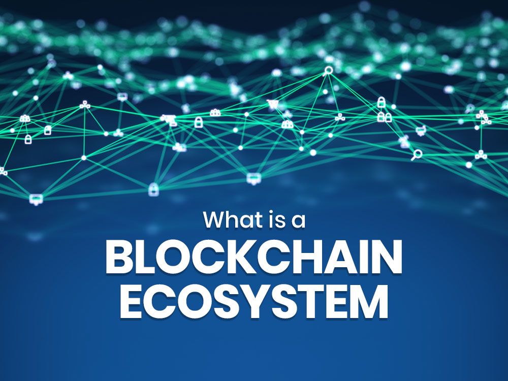 What is a Blockchain Ecosystem