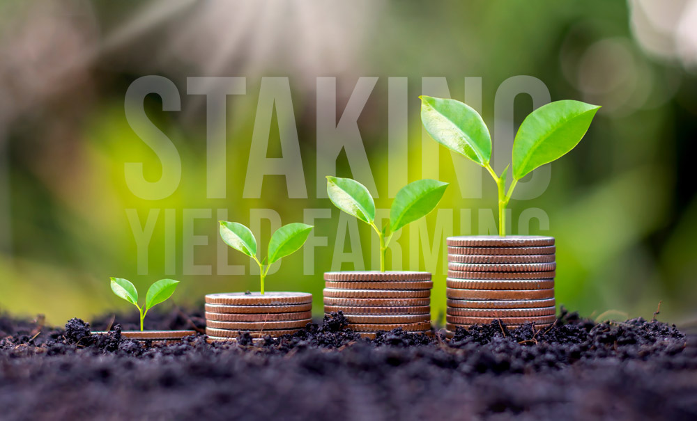 Staking and Yield Farming