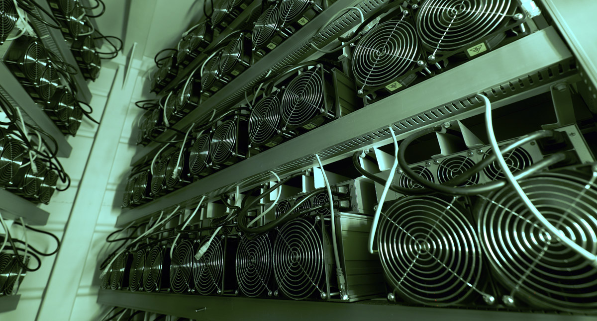 Bitcoin miners in large farm asic mining equipment on stand racks