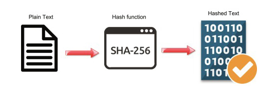 Hash Function