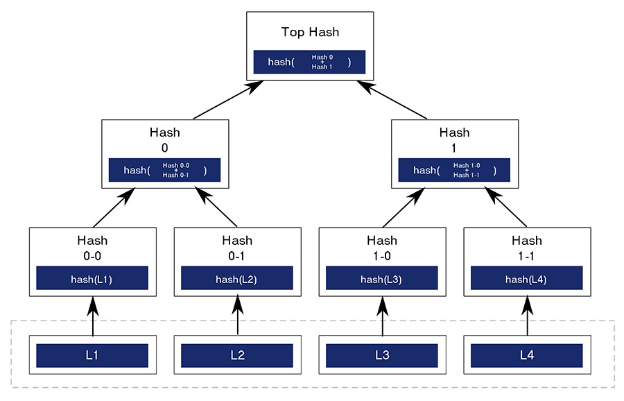 What is a Merkle Tree?